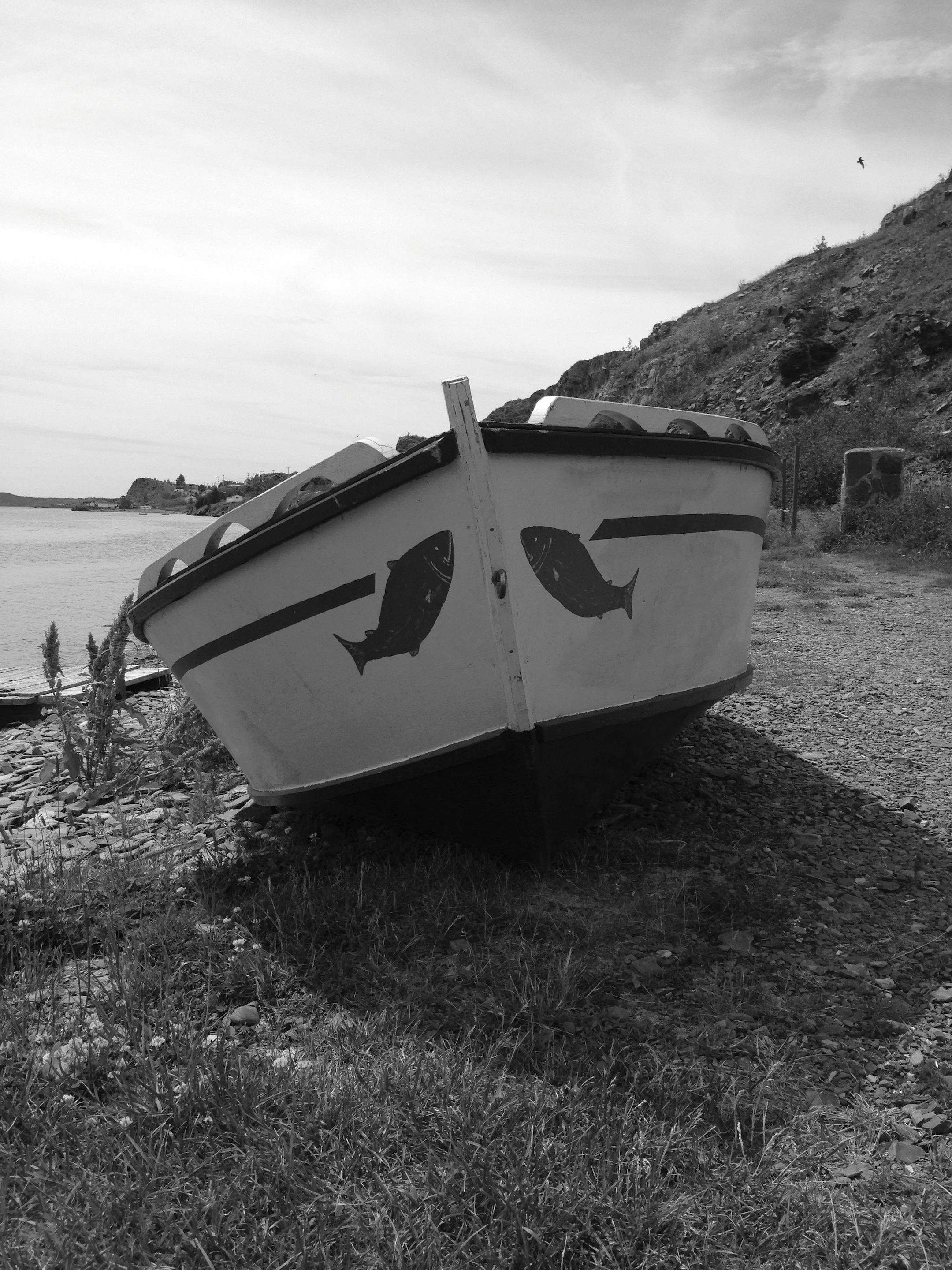 A Lifeboat, A Distraction, A Pause